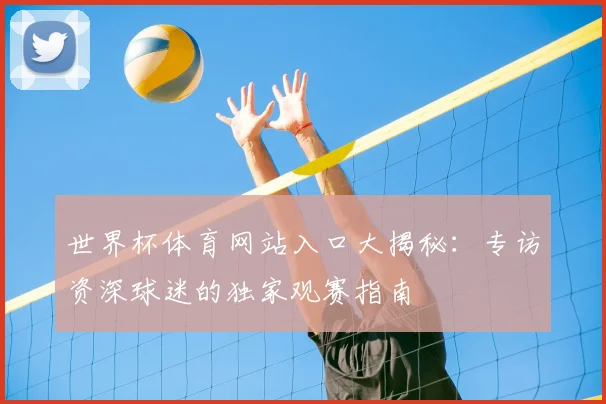 世界杯体育网站入口大揭秘：专访资深球迷的独家观赛指南