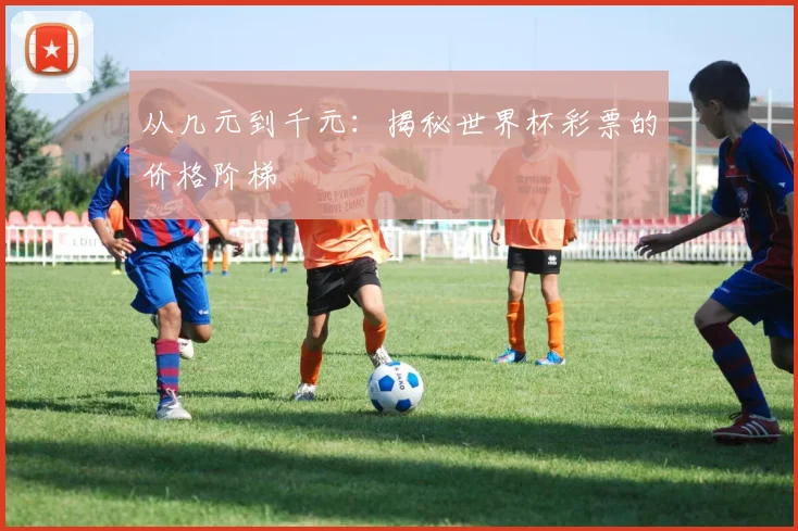 从几元到千元：揭秘世界杯彩票的价格阶梯