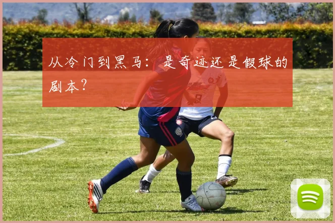 从冷门到黑马：是奇迹还是假球的剧本？
