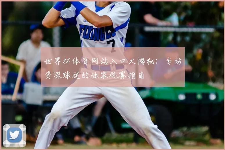 世界杯体育网站入口大揭秘：专访资深球迷的独家观赛指南