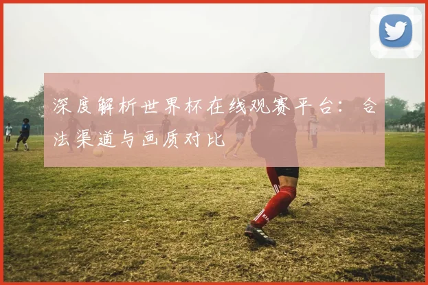 深度解析世界杯在线观赛平台：合法渠道与画质对比