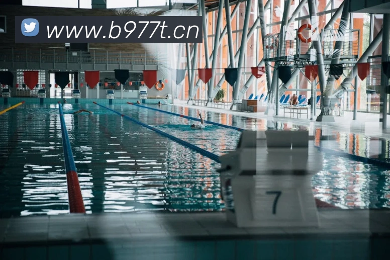 九游j9官方官网平台生态图